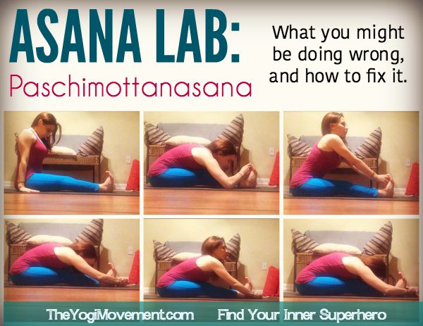 Learn Paschimottasasana and Dandasana in Ashtanga Yoga. Check out TheYogiMovement.com by Monica Dawn stone