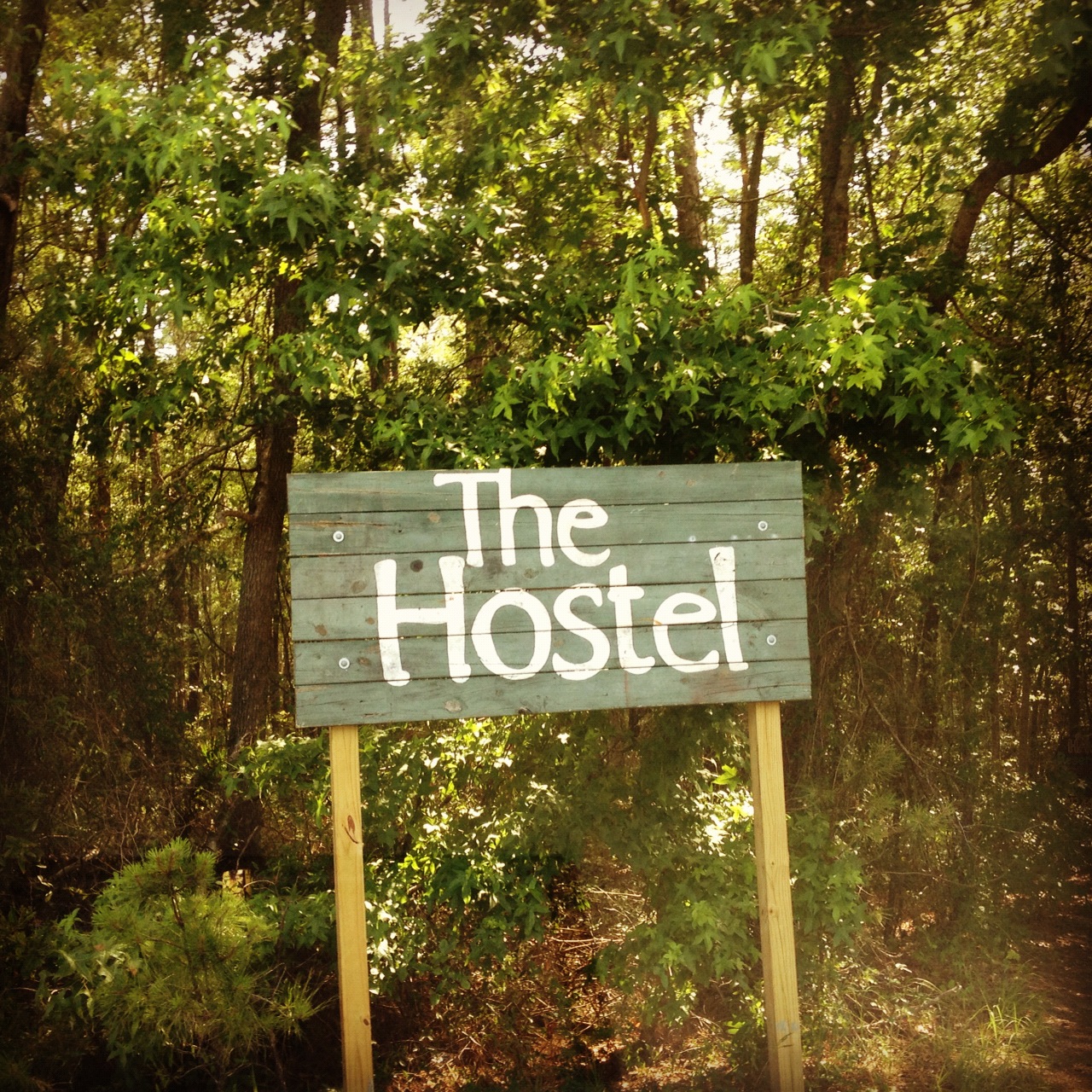 The Hostel In The Forest Experience at The Yogi Movement by Monica Dawn Stone