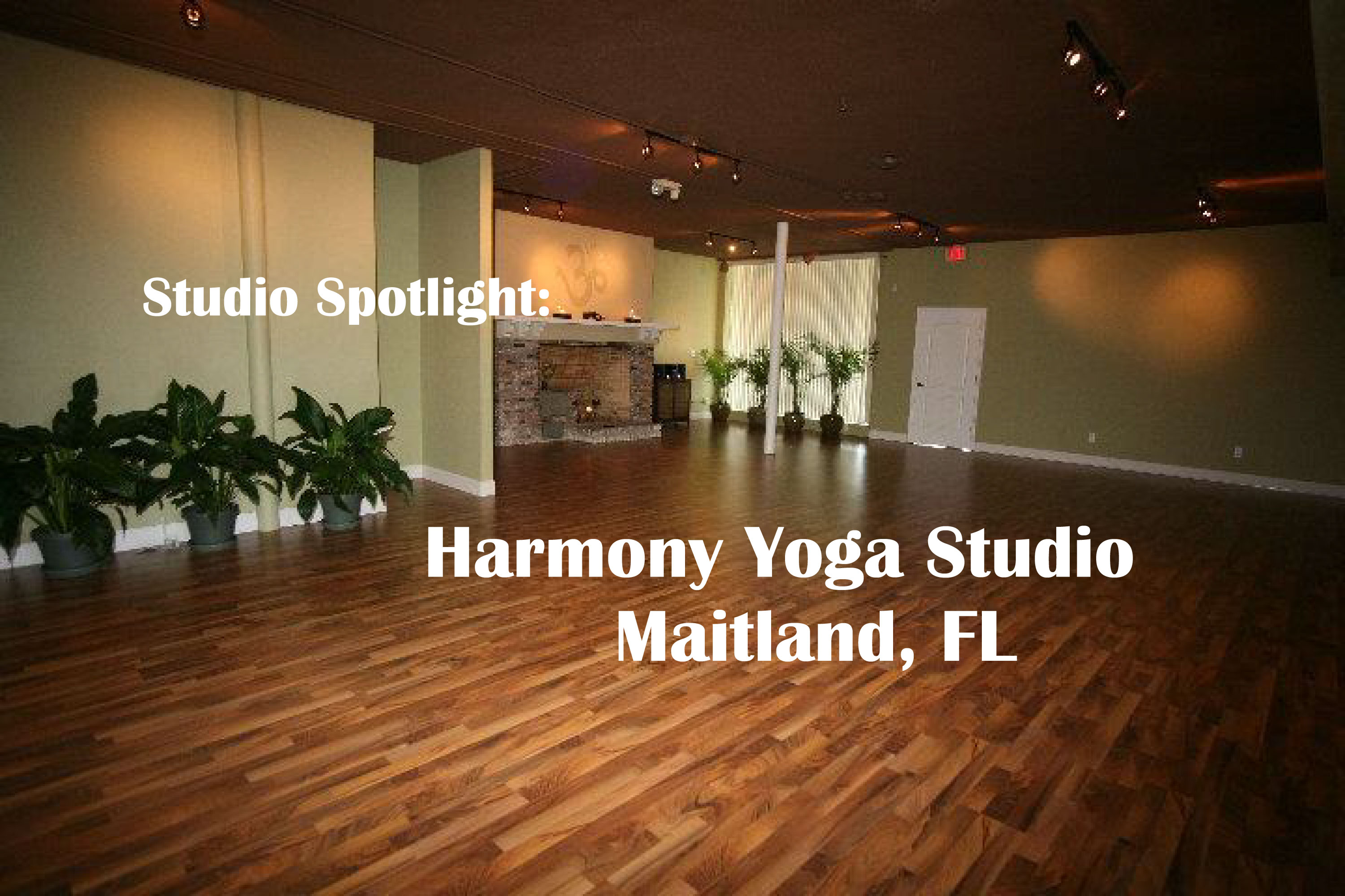 Harmony Yoga Studio: A Space For Love and Healing